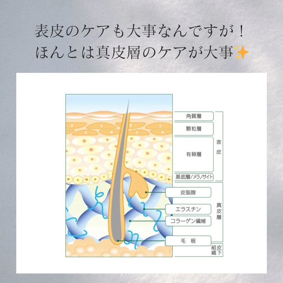 ホームケアは表皮のみのケアしかできないので、サロンでの真皮層...